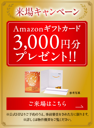 Amazonギフトカード3,000円分プレゼント