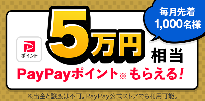 10万円相当 PayPayポイントもらえる!
